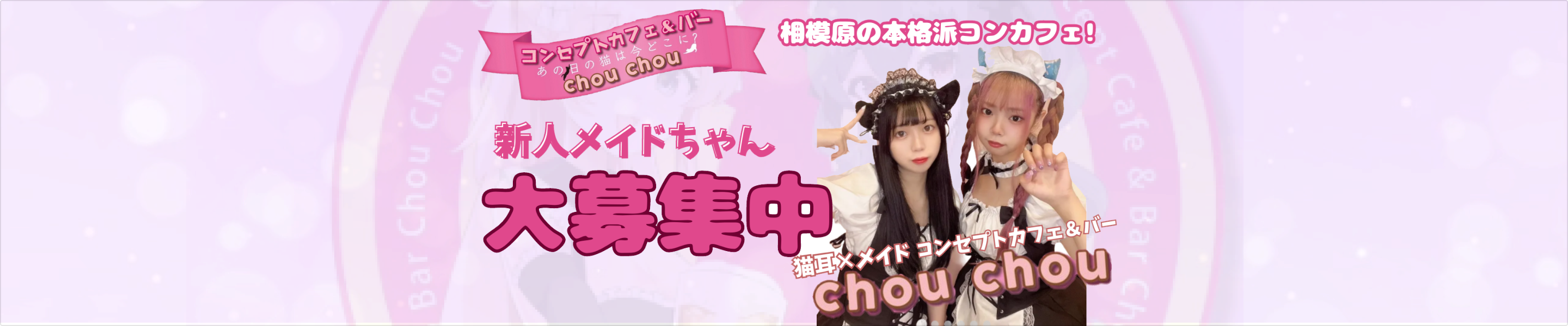 chouchou求人画像